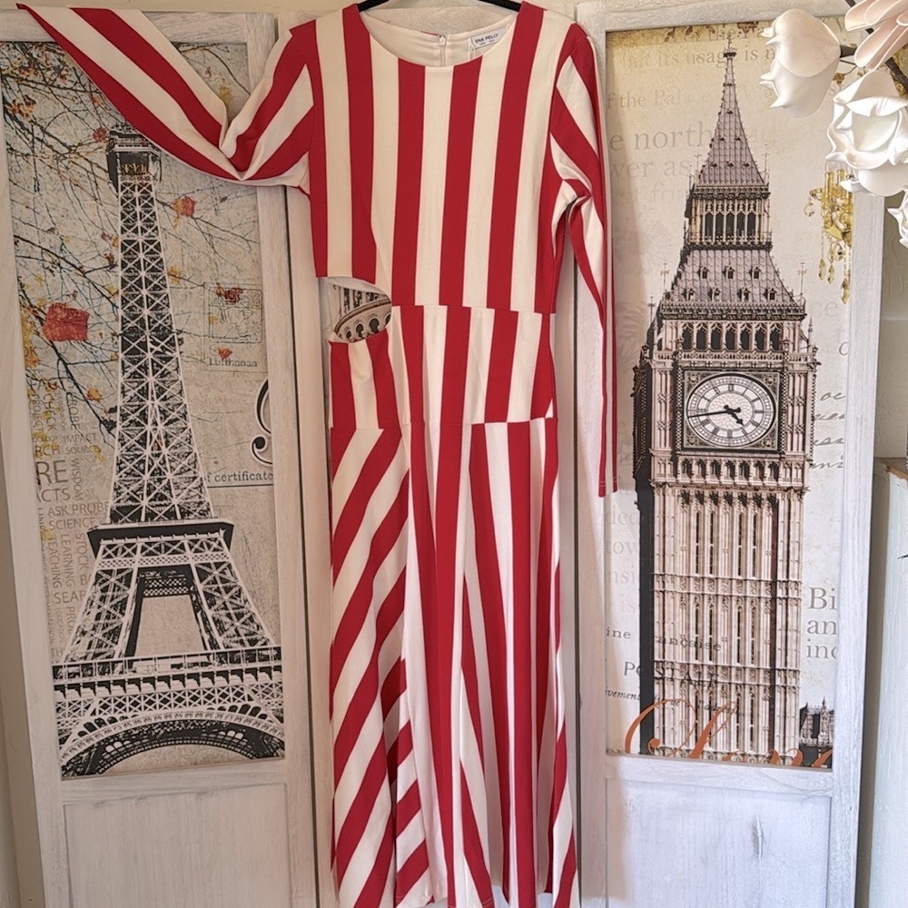 Ena Pelly Rumi Long Sleeve Dress, NWT, 4US